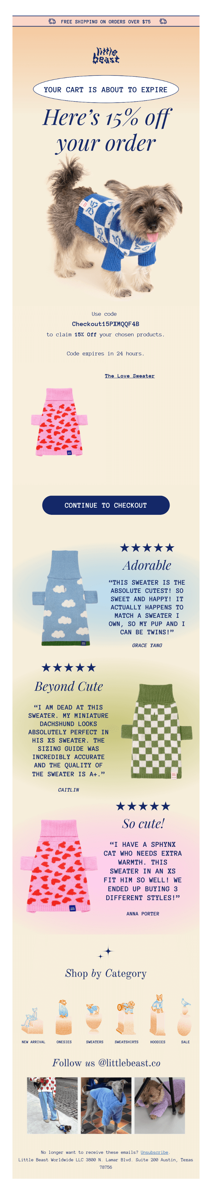 Cart abandonment recovery email example with 15% discount offer, urgency messaging, and 24-hour expiration to encourage purchase completion